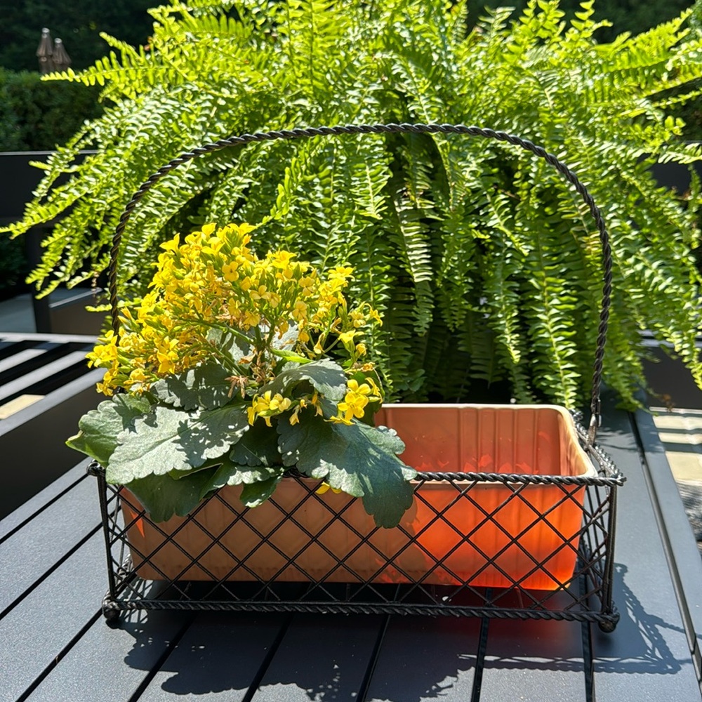 Metal Flower/Herb Basket
